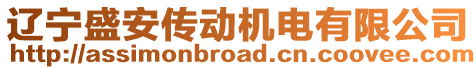 遼寧盛安傳動(dòng)機(jī)電有限公司