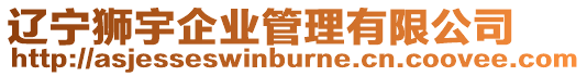 遼寧獅宇企業(yè)管理有限公司