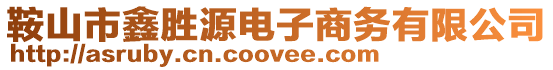 鞍山市鑫勝源電子商務(wù)有限公司