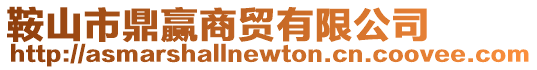 鞍山市鼎贏商貿有限公司