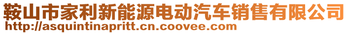 鞍山市家利新能源電動汽車銷售有限公司