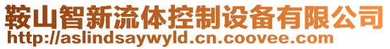 鞍山智新流體控制設(shè)備有限公司