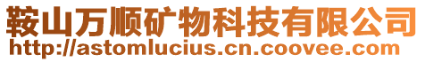 鞍山萬順礦物科技有限公司