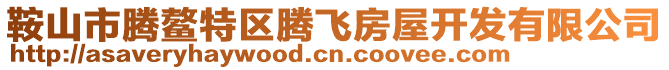 鞍山市騰鰲特區(qū)騰飛房屋開發(fā)有限公司