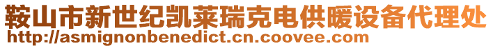 鞍山市新世紀凱萊瑞克電供暖設備代理處