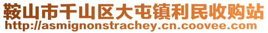 鞍山市千山區(qū)大屯鎮(zhèn)利民收購站