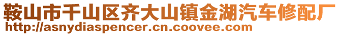 鞍山市千山區(qū)齊大山鎮(zhèn)金湖汽車(chē)修配廠