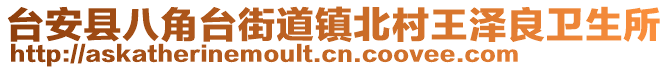 台安县八角台街道镇北村王泽良卫生所