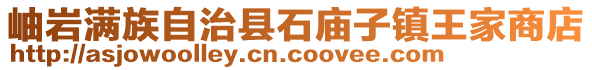 岫巖滿族自治縣石廟子鎮王家商店