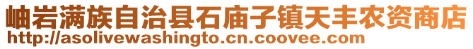 岫巖滿族自治縣石廟子鎮(zhèn)天豐農(nóng)資商店