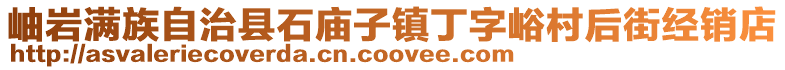 岫巖滿族自治縣石廟子鎮丁字峪村后街經銷店
