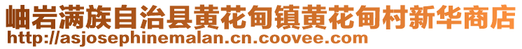 岫岩满族自治县黄花甸镇黄花甸村新华商店