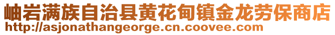 岫巖滿族自治縣黃花甸鎮(zhèn)金龍勞保商店