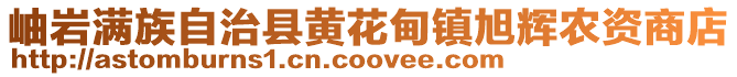 岫巖滿族自治縣黃花甸鎮旭輝農資商店