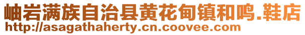 岫巖滿族自治縣黃花甸鎮和鳴.鞋店