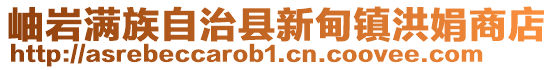 岫巖滿族自治縣新甸鎮洪娟商店