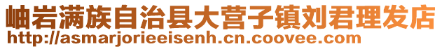 岫巖滿族自治縣大營(yíng)子鎮(zhèn)劉君理發(fā)店