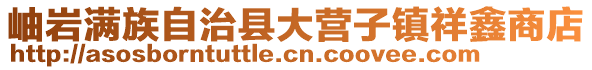 岫岩满族自治县大营子镇祥鑫商店