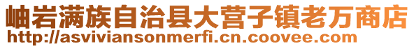 岫巖滿(mǎn)族自治縣大營(yíng)子鎮(zhèn)老萬(wàn)商店