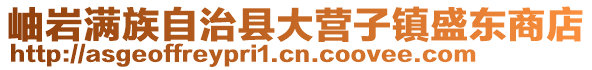 岫岩满族自治县大营子镇盛东商店