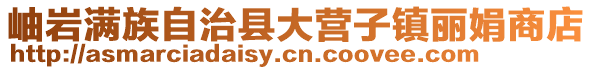 岫巖滿族自治縣大營子鎮麗娟商店