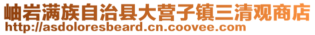 岫巖滿族自治縣大營子鎮三清觀商店