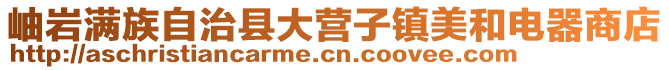 岫巖滿族自治縣大營子鎮美和電器商店