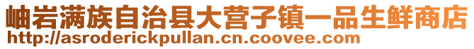 岫巖滿族自治縣大營子鎮(zhèn)一品生鮮商店