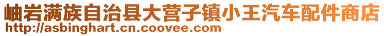 岫巖滿族自治縣大營子鎮小王汽車配件商店
