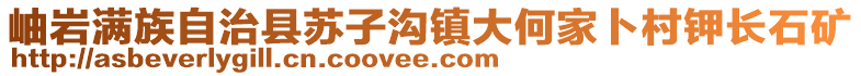 岫巖滿族自治縣蘇子溝鎮大何家卜村鉀長石礦