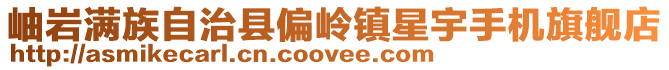 岫巖滿族自治縣偏嶺鎮星宇手機旗艦店