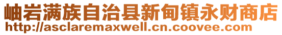 岫巖滿(mǎn)族自治縣新甸鎮(zhèn)永財(cái)商店