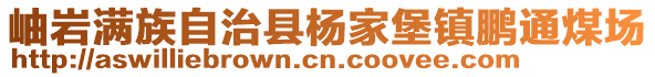 岫巖滿族自治縣楊家堡鎮(zhèn)鵬通煤場(chǎng)