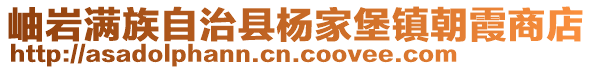 岫巖滿族自治縣楊家堡鎮(zhèn)朝霞商店