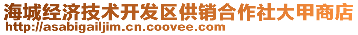 海城經(jīng)濟(jì)技術(shù)開發(fā)區(qū)供銷合作社大甲商店