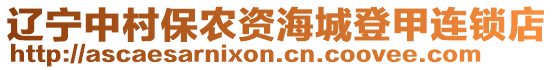 遼寧中村保農資海城登甲連鎖店