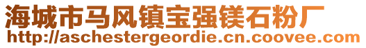 海城市馬風(fēng)鎮(zhèn)寶強(qiáng)鎂石粉廠