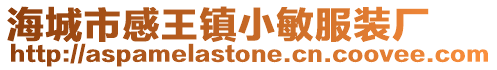 海城市感王鎮小敏服裝廠
