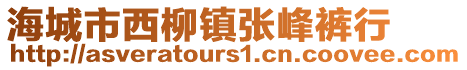 海城市西柳鎮(zhèn)張峰褲行