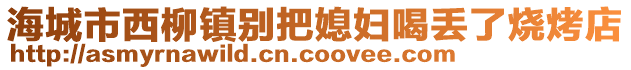 海城市西柳鎮(zhèn)別把媳婦喝丟了燒烤店