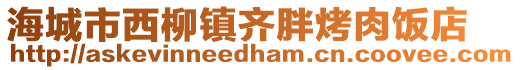 海城市西柳鎮(zhèn)齊胖烤肉飯店