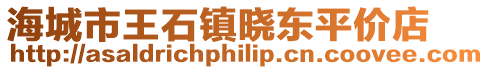 海城市王石鎮曉東平價店