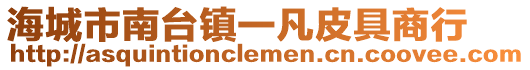 海城市南臺(tái)鎮(zhèn)一凡皮具商行