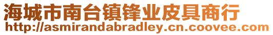 海城市南臺鎮鋒業皮具商行
