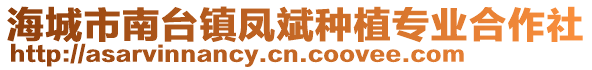 海城市南臺鎮鳳斌種植專業合作社
