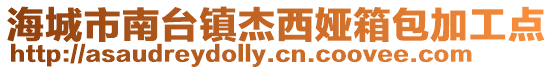 海城市南臺鎮(zhèn)杰西婭箱包加工點