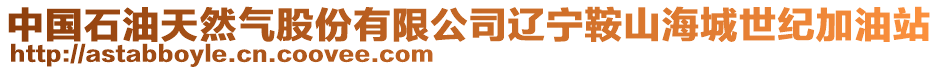 中國石油天然氣股份有限公司遼寧鞍山海城世紀加油站