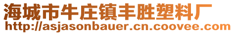 海城市牛莊鎮(zhèn)豐勝塑料廠