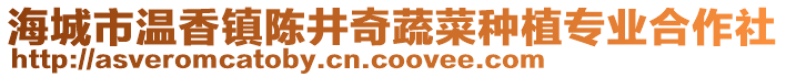 海城市溫香鎮陳井奇蔬菜種植專業合作社
