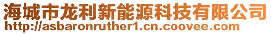 海城市龍利新能源科技有限公司